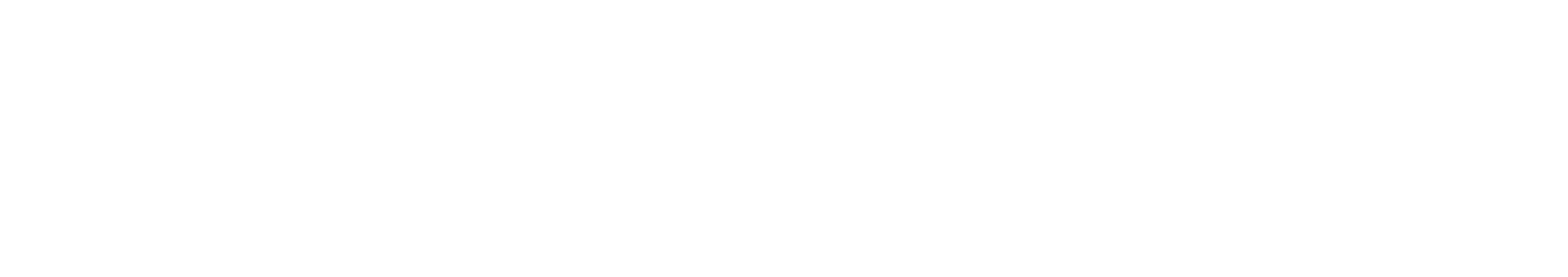 Paradox IT Logo No Background