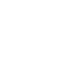 Reolink